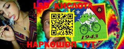 гашик Канаш