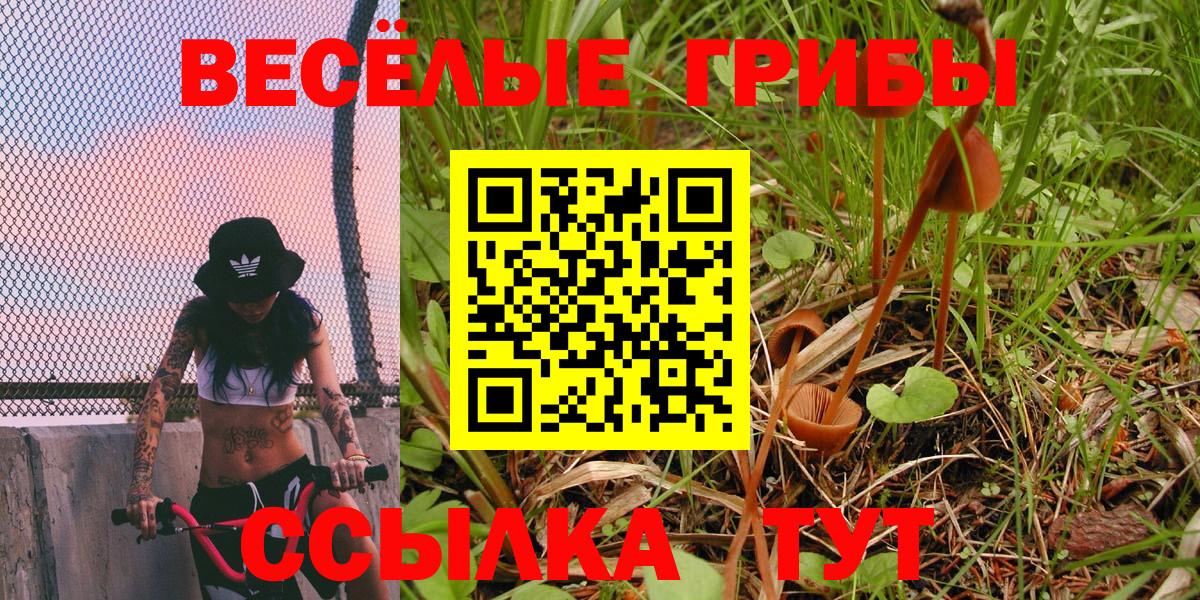 Магнитогорск  Псилоцибиновые грибы GOLDEN TEACHER  Вход с VPN 
