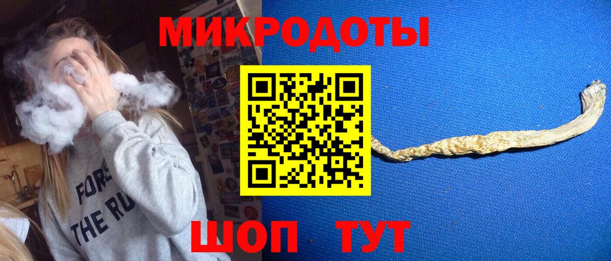 Псилоцибиновые грибы Psilocybine cubensis Магнитогорск